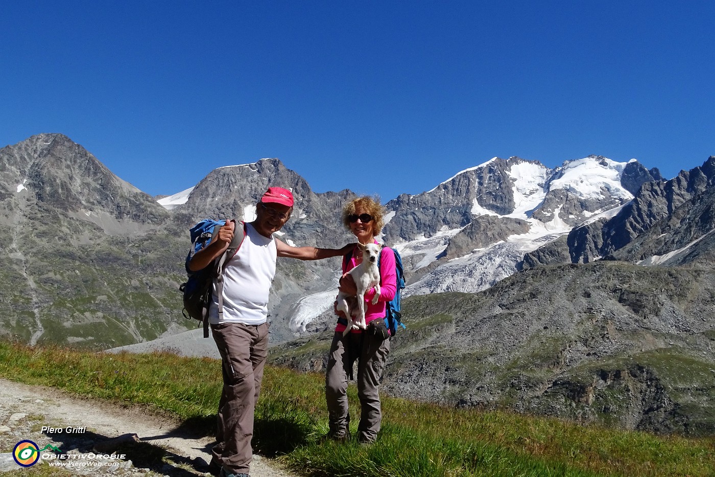 35 Da sx Piz Boval, Morteratsch, Bernina, Scerscen.JPG